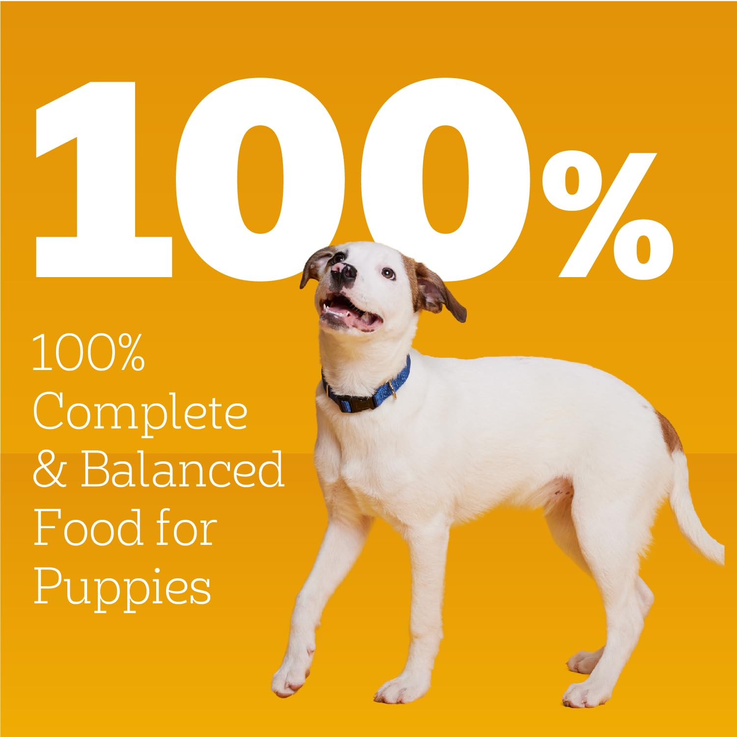Pedigree chiot piles de boîtes montrant stockage facile et portionnable