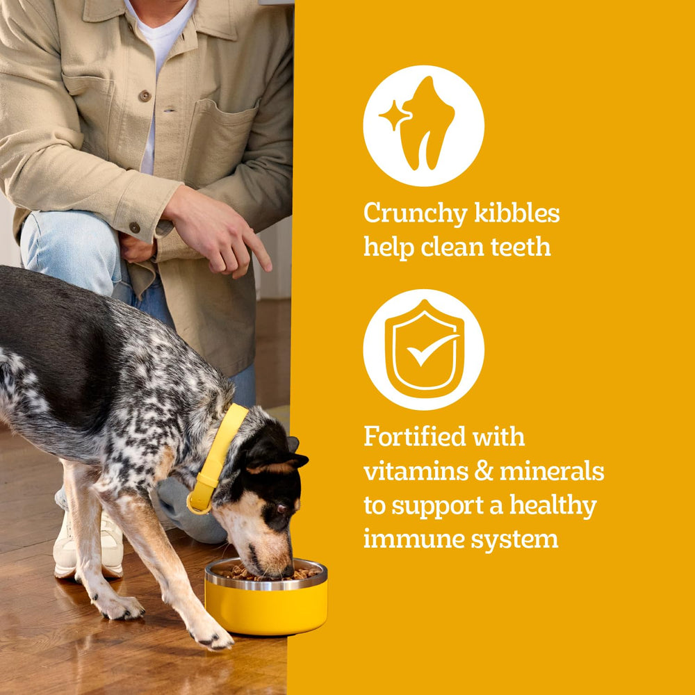 pedigree étiquette nutrition détail des 36 vitamines et minéraux
