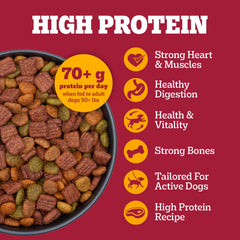 Pedigree gros plan Protein Goodbites riches en goût pour une meilleure attractivité