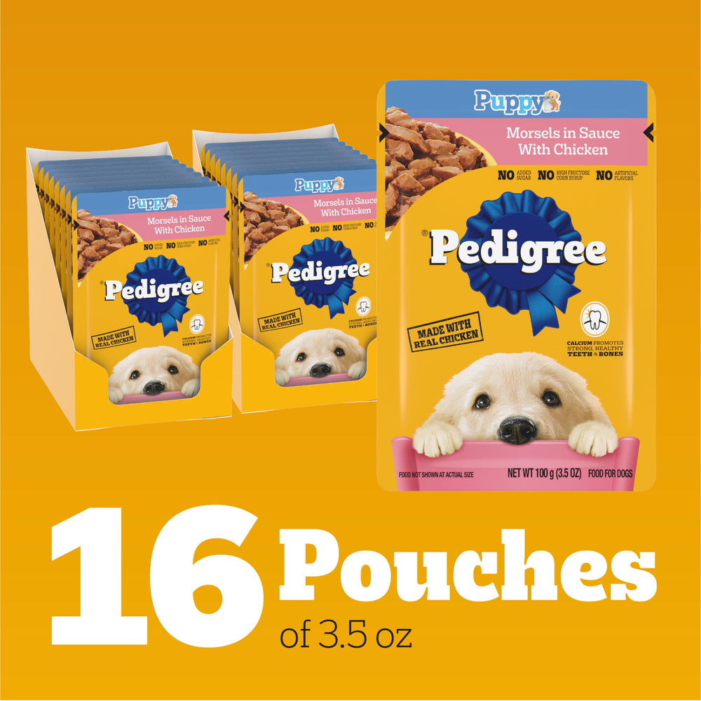 Pedigree main donnant sachet à chiot, facilite les repas