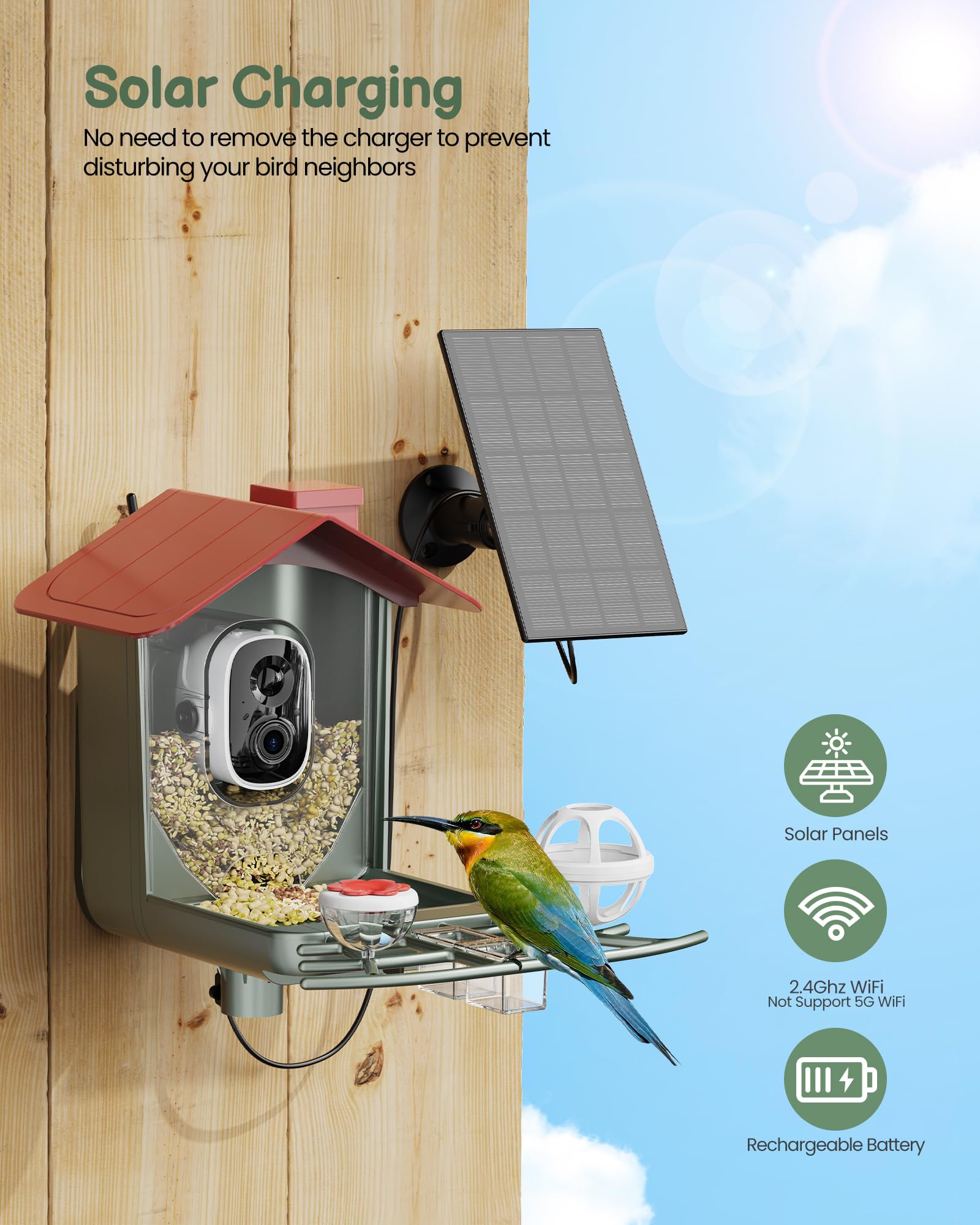 PEEIPM mangeoire en usage perchée dans un arbre, attire oiseaux du jardin