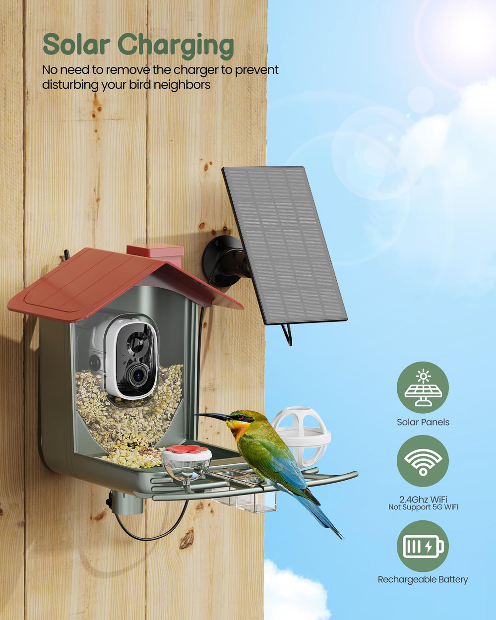 PEEIPM mangeoire en usage perchée dans un arbre, attire oiseaux du jardin
