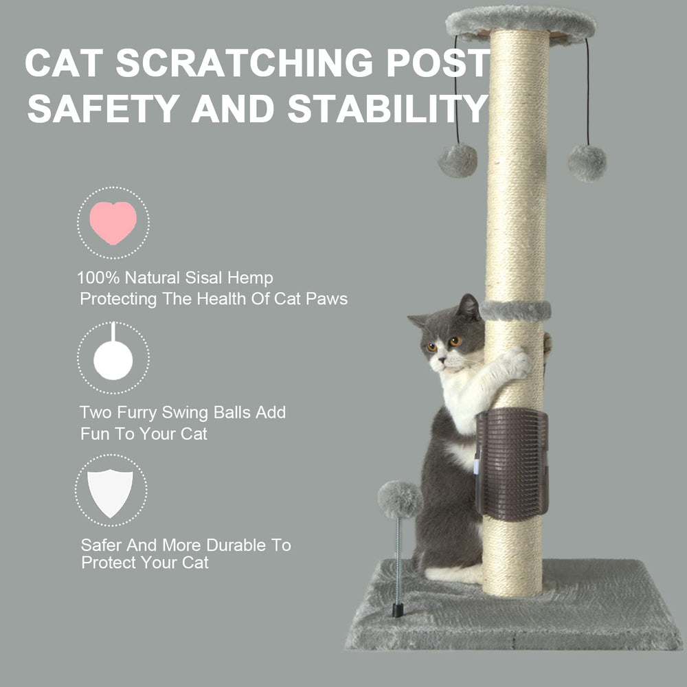 PEEKAB échelle de taille montrant chat qui s’étire confortablement