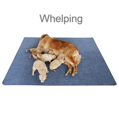 peepeego tapis utilisé dans parc à chiots facilite apprentissage propre
