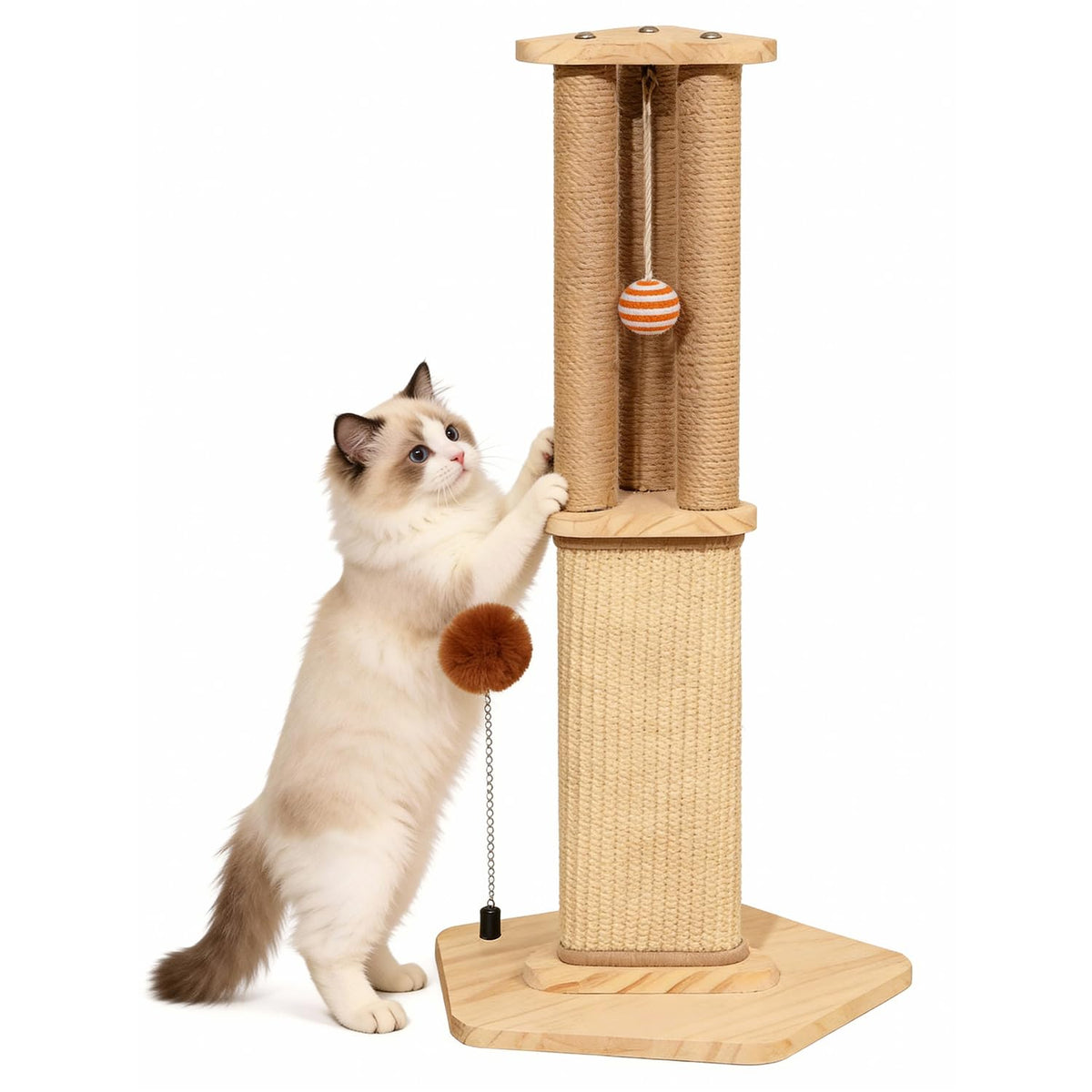 PEITA PET griffoir face avant montrant stabilité et design attractif