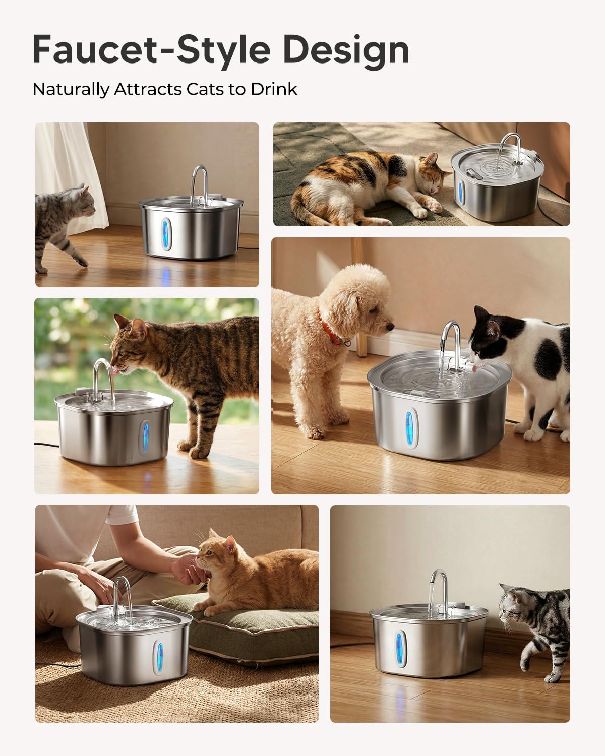 PEKTACO kit de 6 filtres inclus pour maintenance régulière