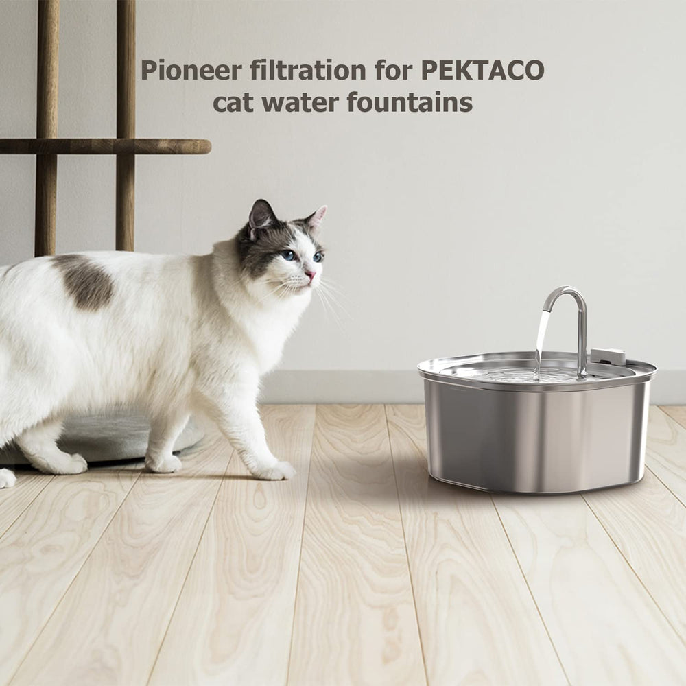 PEKTACO fontaine dans cuisine style de vie encourage consommation d'eau