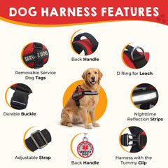 Pelto patch SERVICE DOG amovible indiquant rôle clair