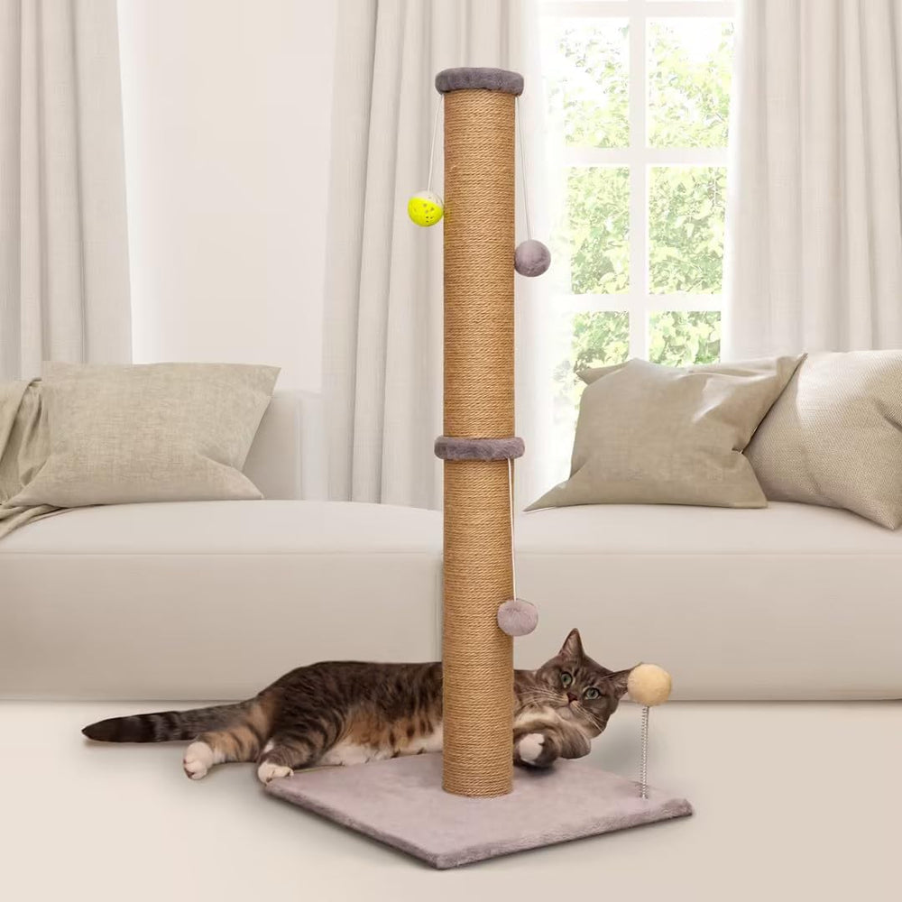 PEL UOMOZ base 15 x 15 pouces illustrant stabilité pour chats énergiques