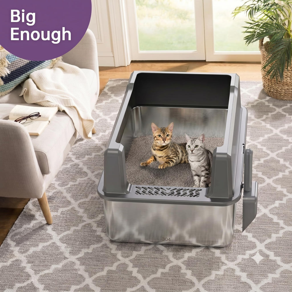 Pematar gros plan intérieur montrant espace et confort pour grands chats