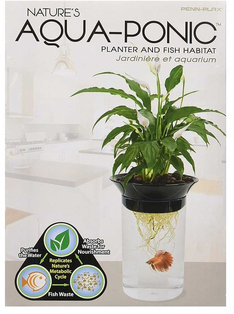 Penn-Plax racines de plante visibles montrant absorption des nutriments