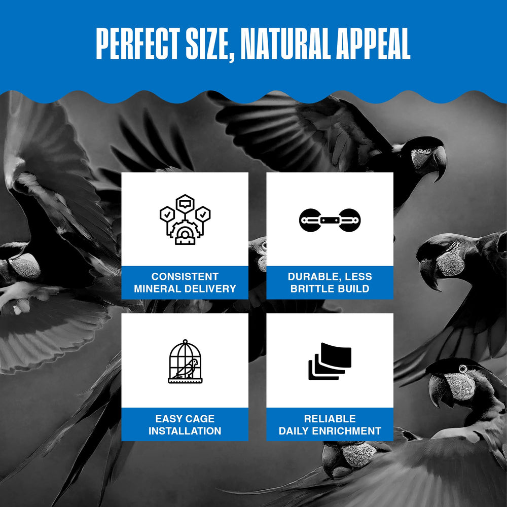 Penn-Plax os de seiche à côté d’un perchoir pour échelle de taille