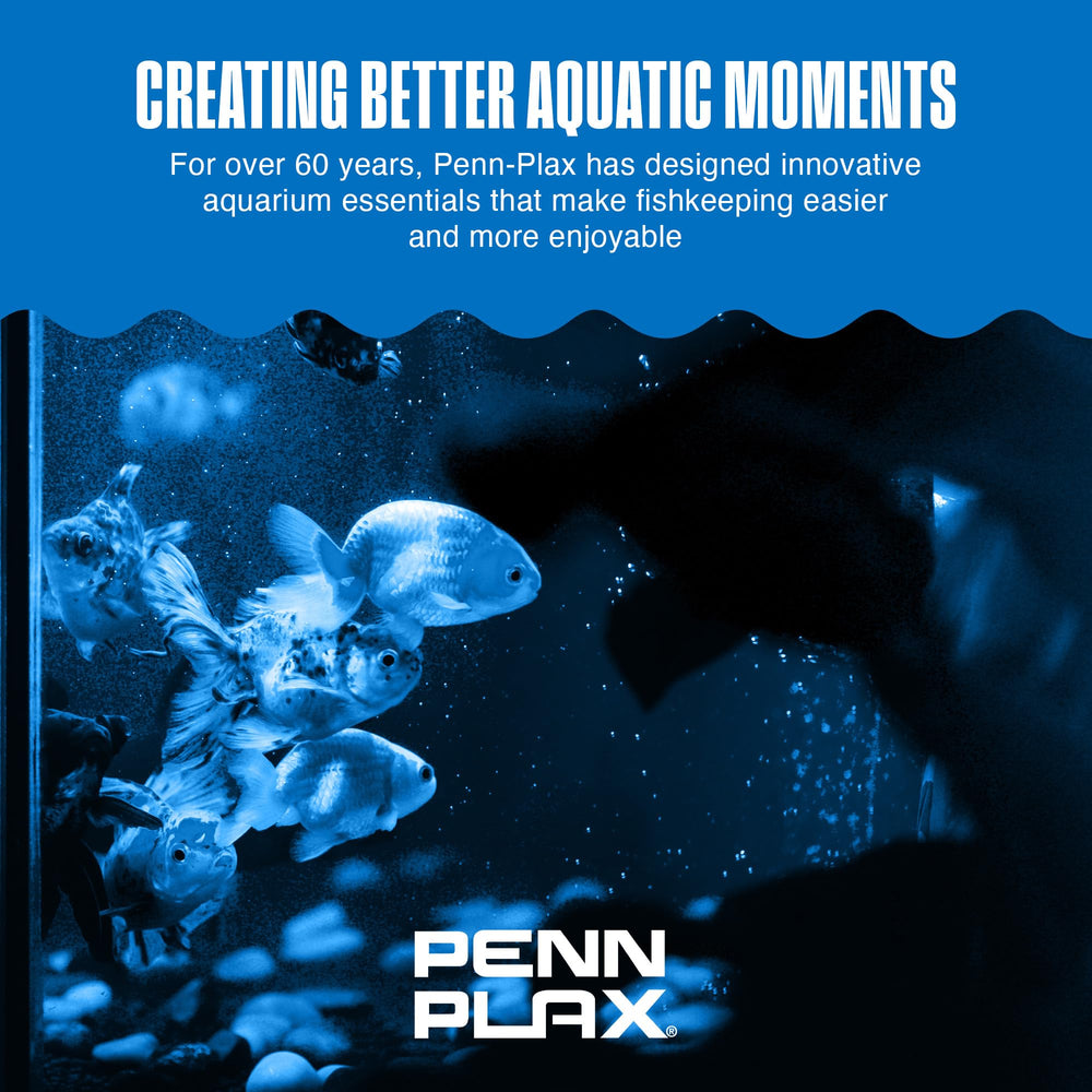 Penn-Plax thermomètre installé scène aquarium confort visuel