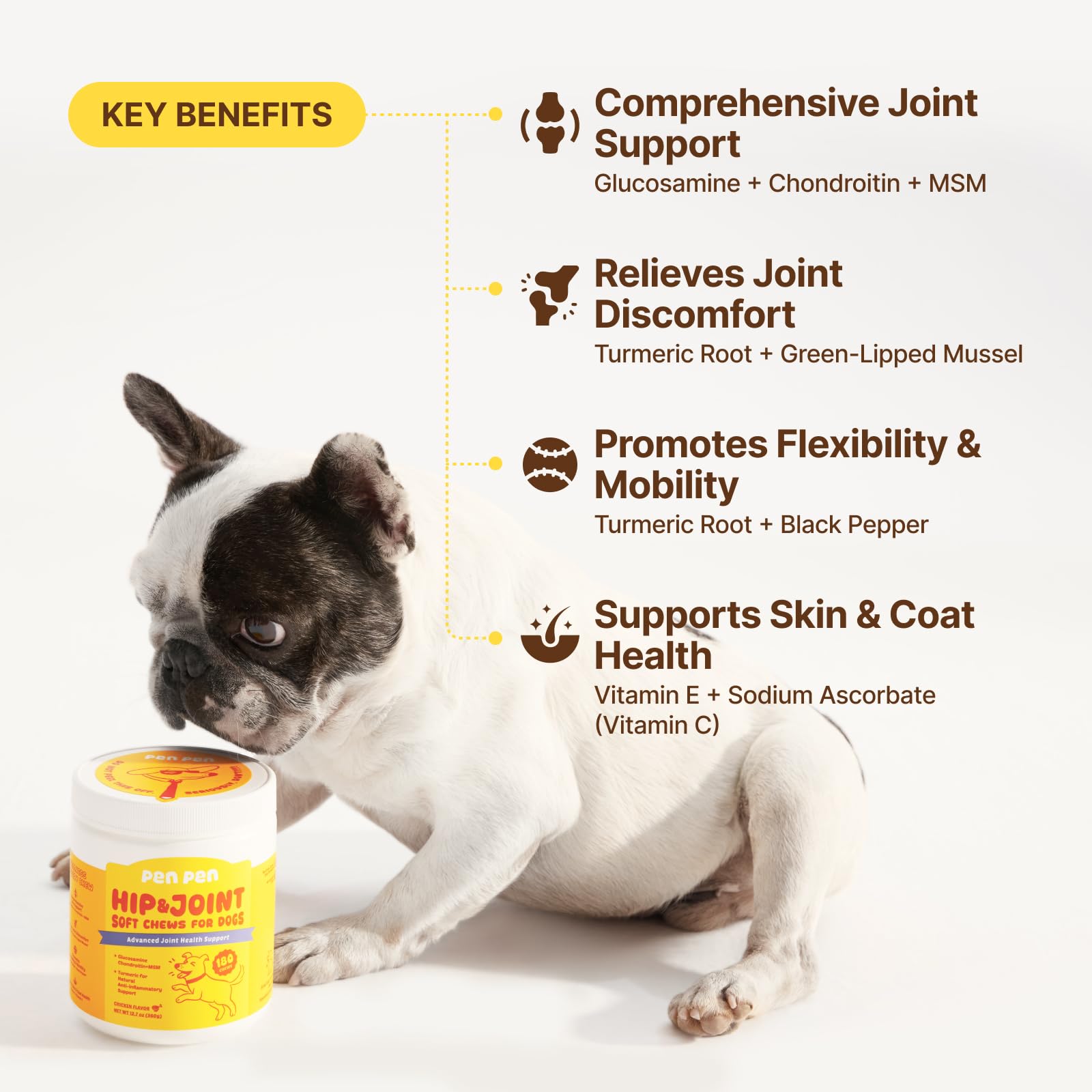 PENPEN friandise gros plan montrant texture et appétence pour chien