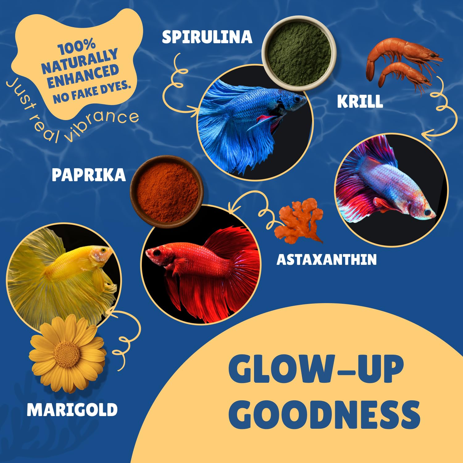 Perky Fins — étiquette lisible listant protéines marines et d’insectes