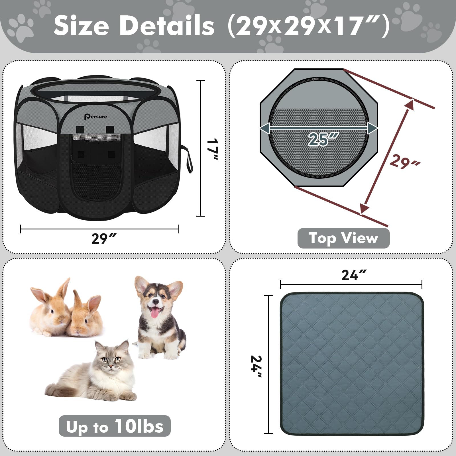 Persure comparaison d'échelle illustrant dimensions petite taille