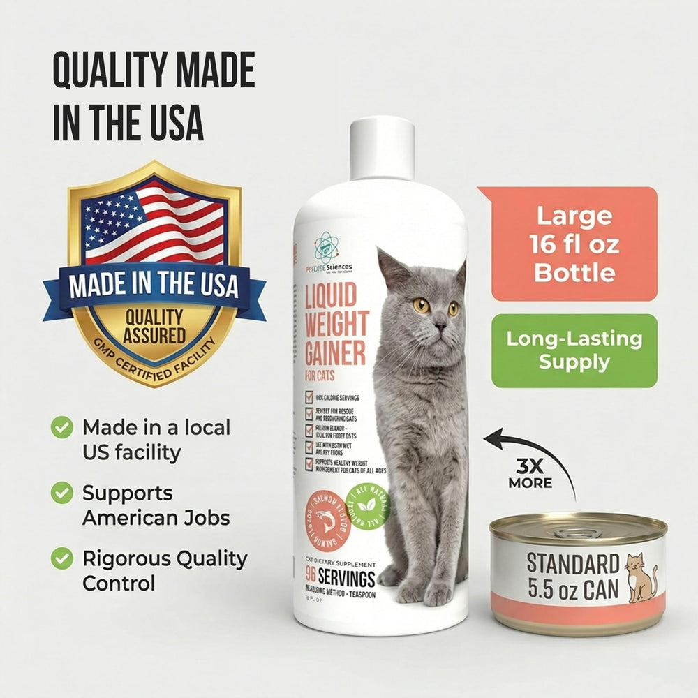 PET CARE Sciences chat consommant repas enrichi pour récupération de poids