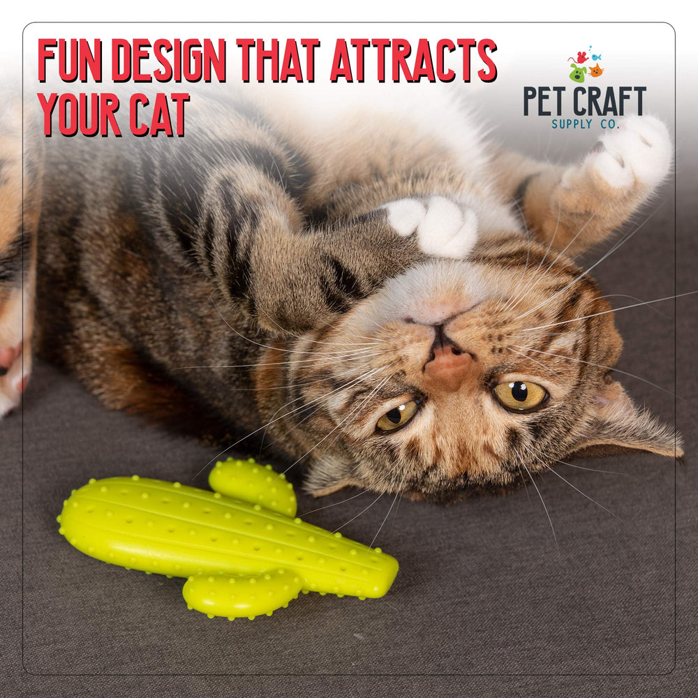 Pet Craft Supply comparaison d’échelle montrant la taille adaptée pour chats