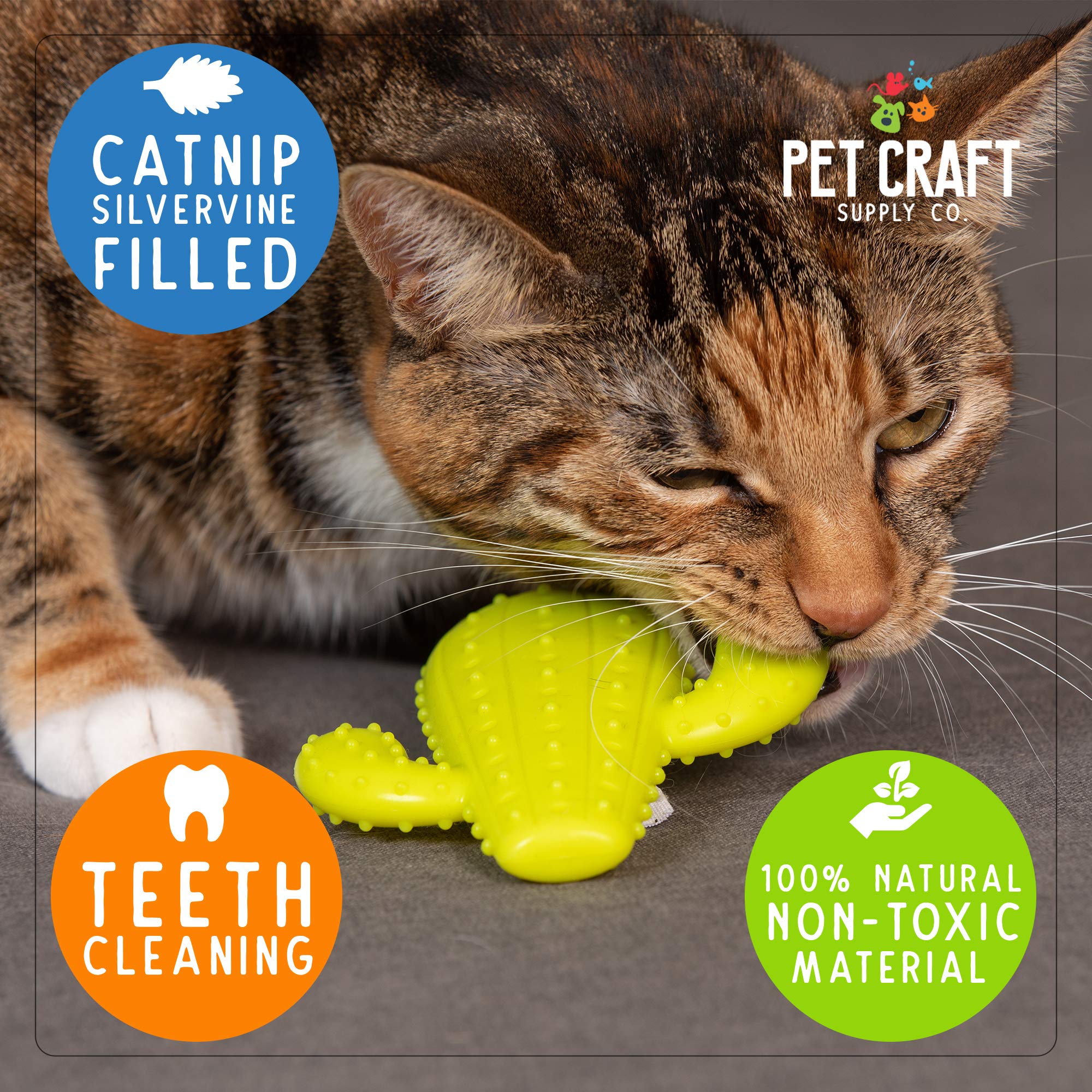 Pet Craft Supply gros plan du caoutchouc naturel montrant texture résistante