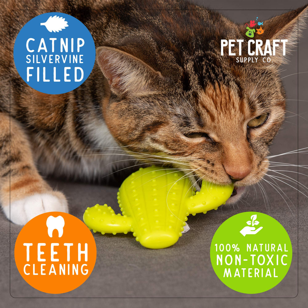 Pet Craft Supply gros plan du caoutchouc naturel montrant texture résistante