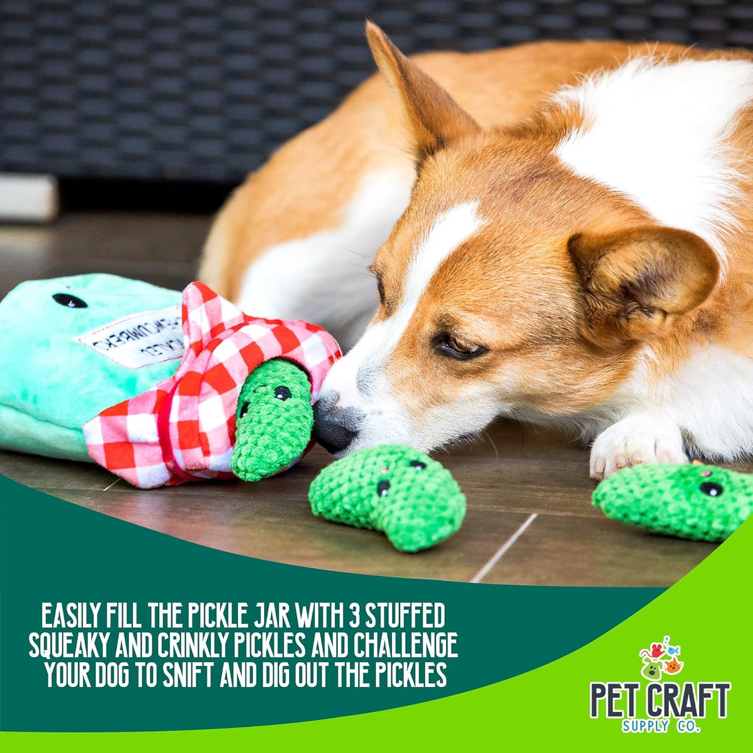 Pet Craft Supply chien jouant avec bocal Pickles, favorise activité mentale