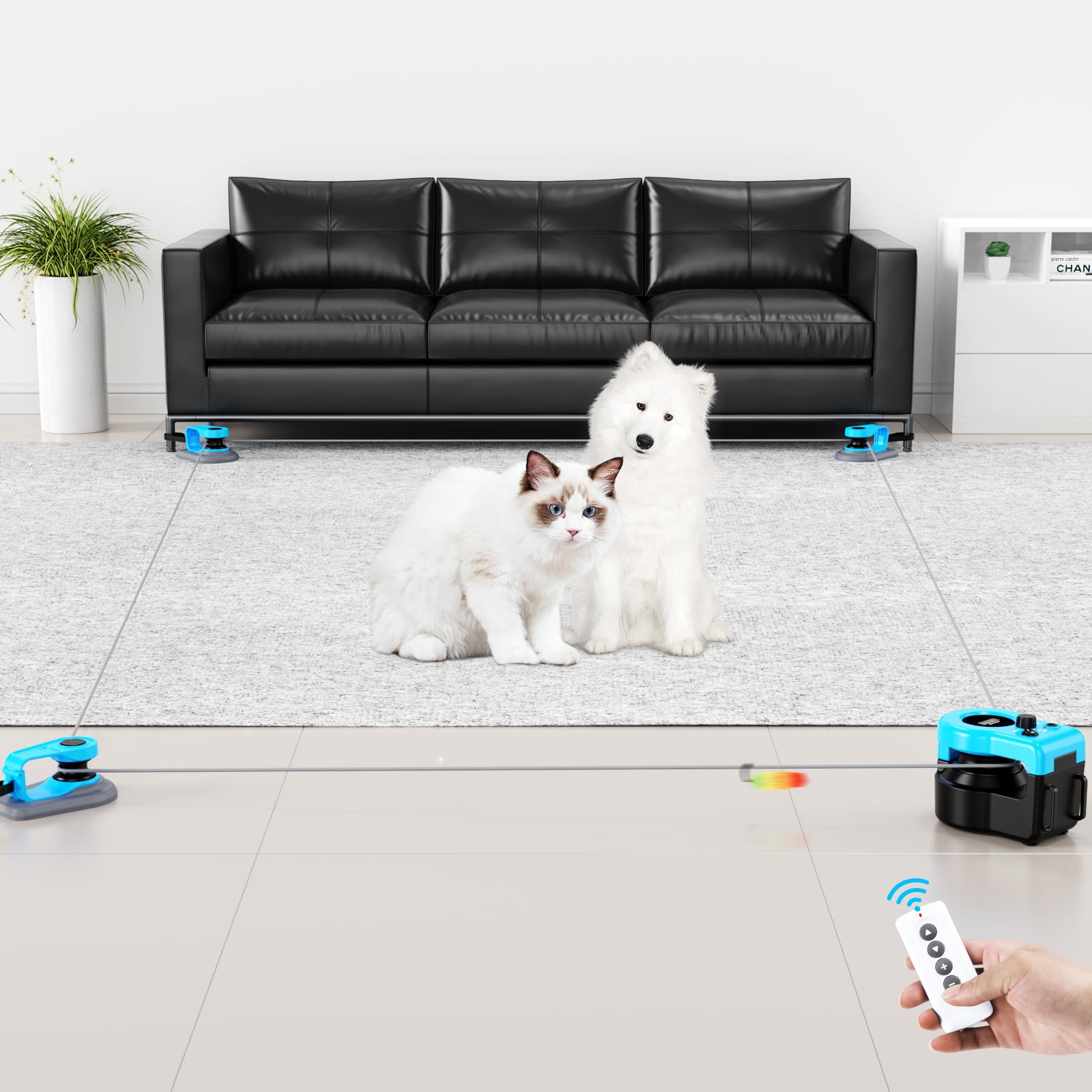 Pet Deluxe face avant bleu ciel montrant le boîtier attractif pour jeu