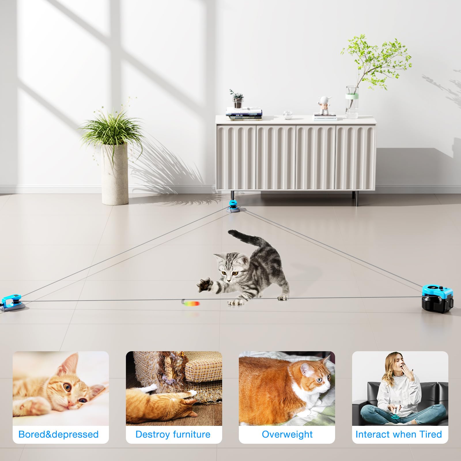 Pet Deluxe en action sur tapis, engage le chat et encourage l'exercice
