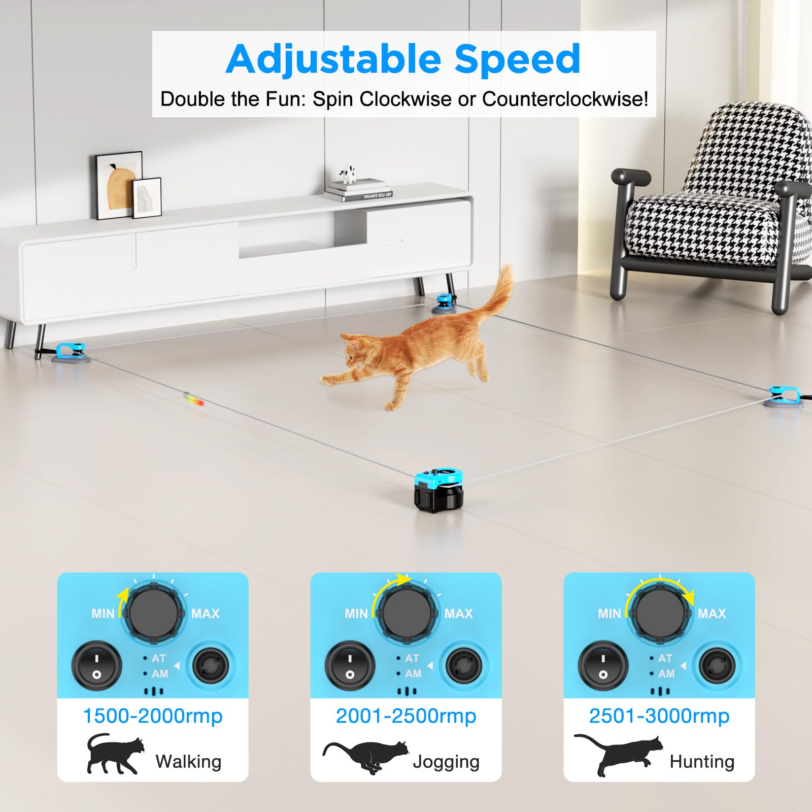 Pet Deluxe télécommande présentée avec boîtier pour contrôle facile