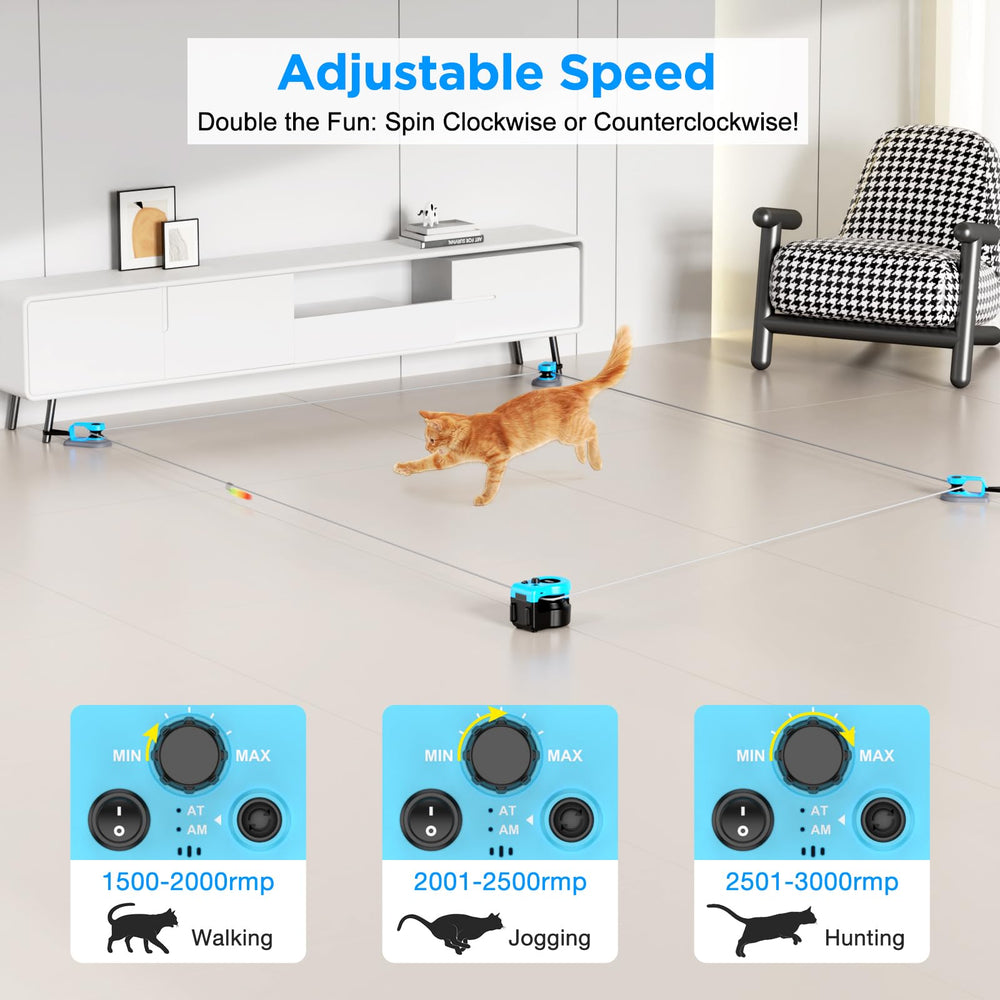 Pet Deluxe télécommande présentée avec boîtier pour contrôle facile
