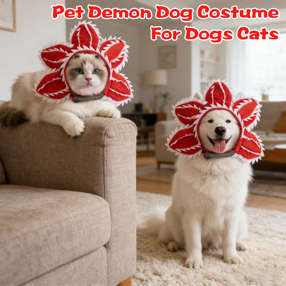 Pet Demon gros plan pétales doux offrant confort et touche décorative