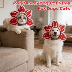 Pet Demon gros plan pétales doux offrant confort et touche décorative