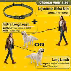 Pet Dreamland bungee élastique absorbant les à-coups