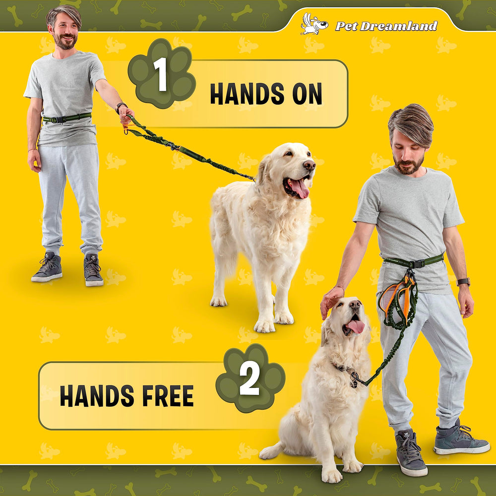 Pet Dreamland ceinture en usage course avec grand chien