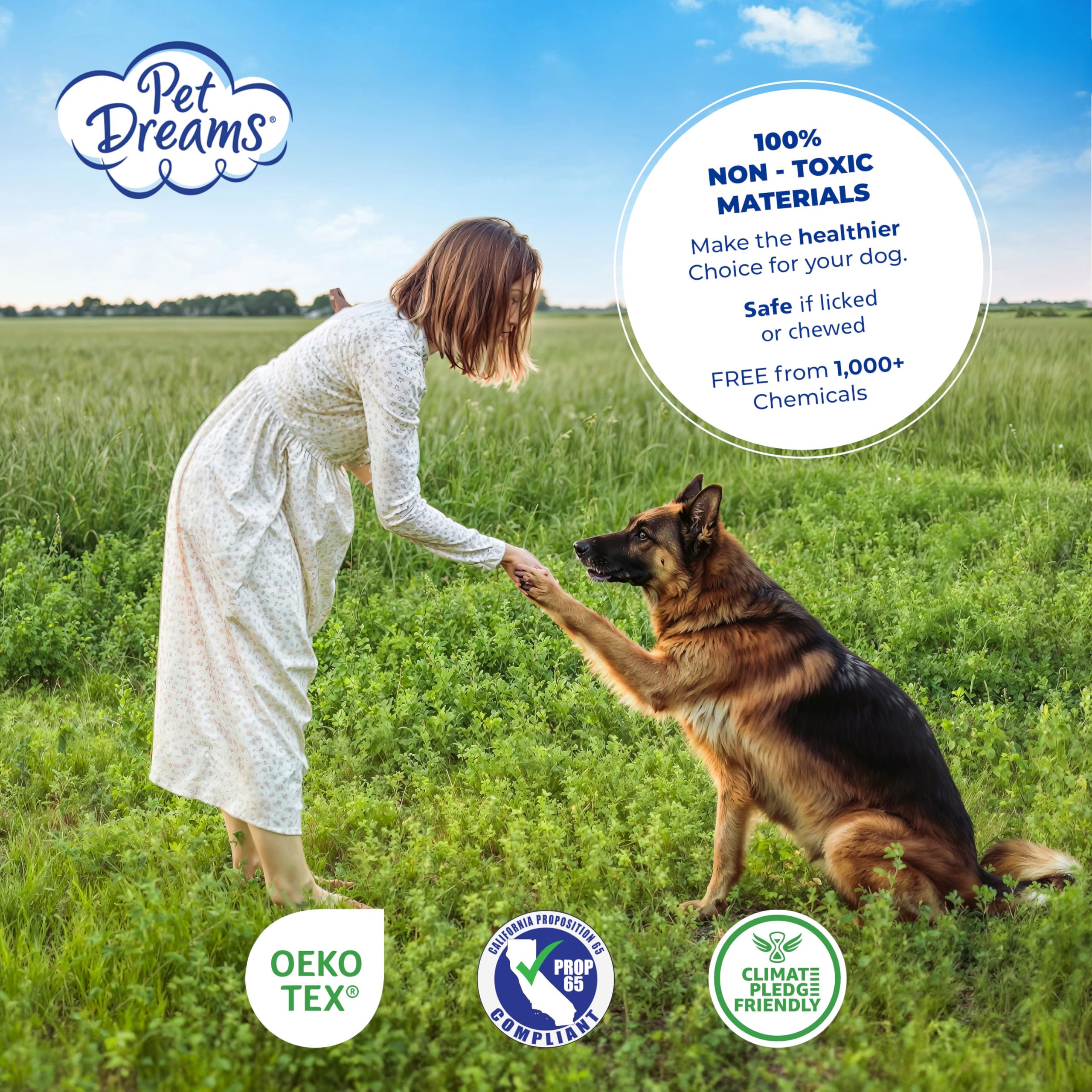 Pet Dreams housse dans salon créant coin repos calme et décoratif