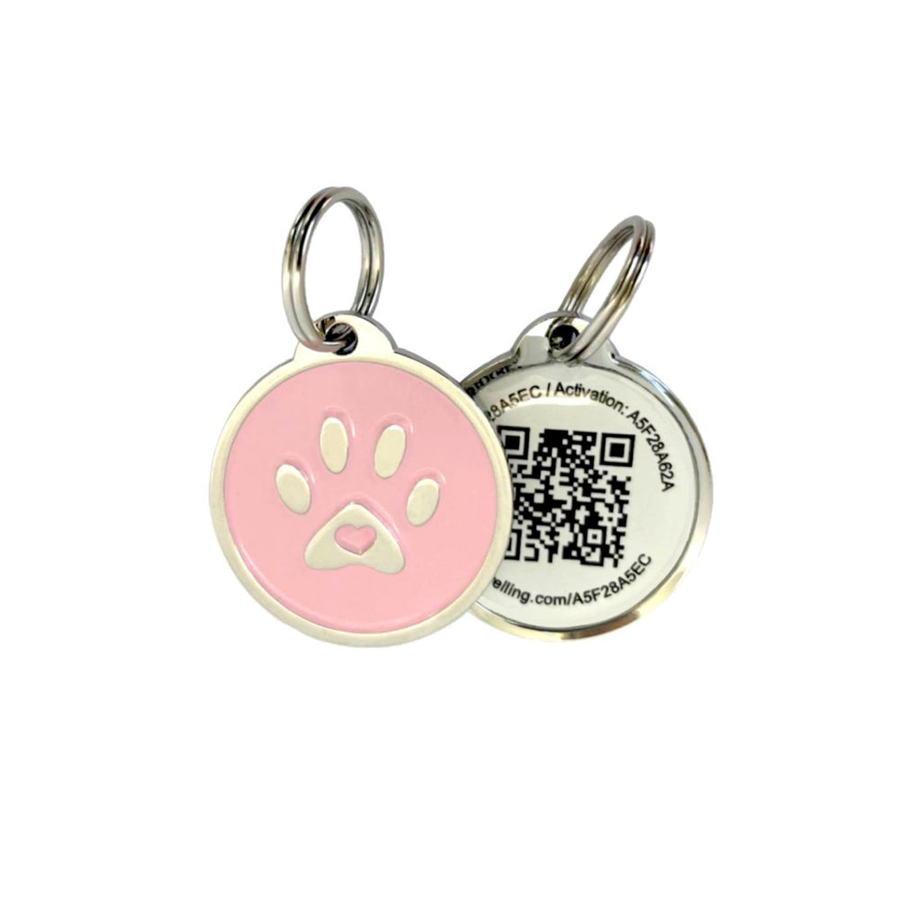 Pet Dwelling chien portant la médaille lors d’une promenade pour sécurité accrue