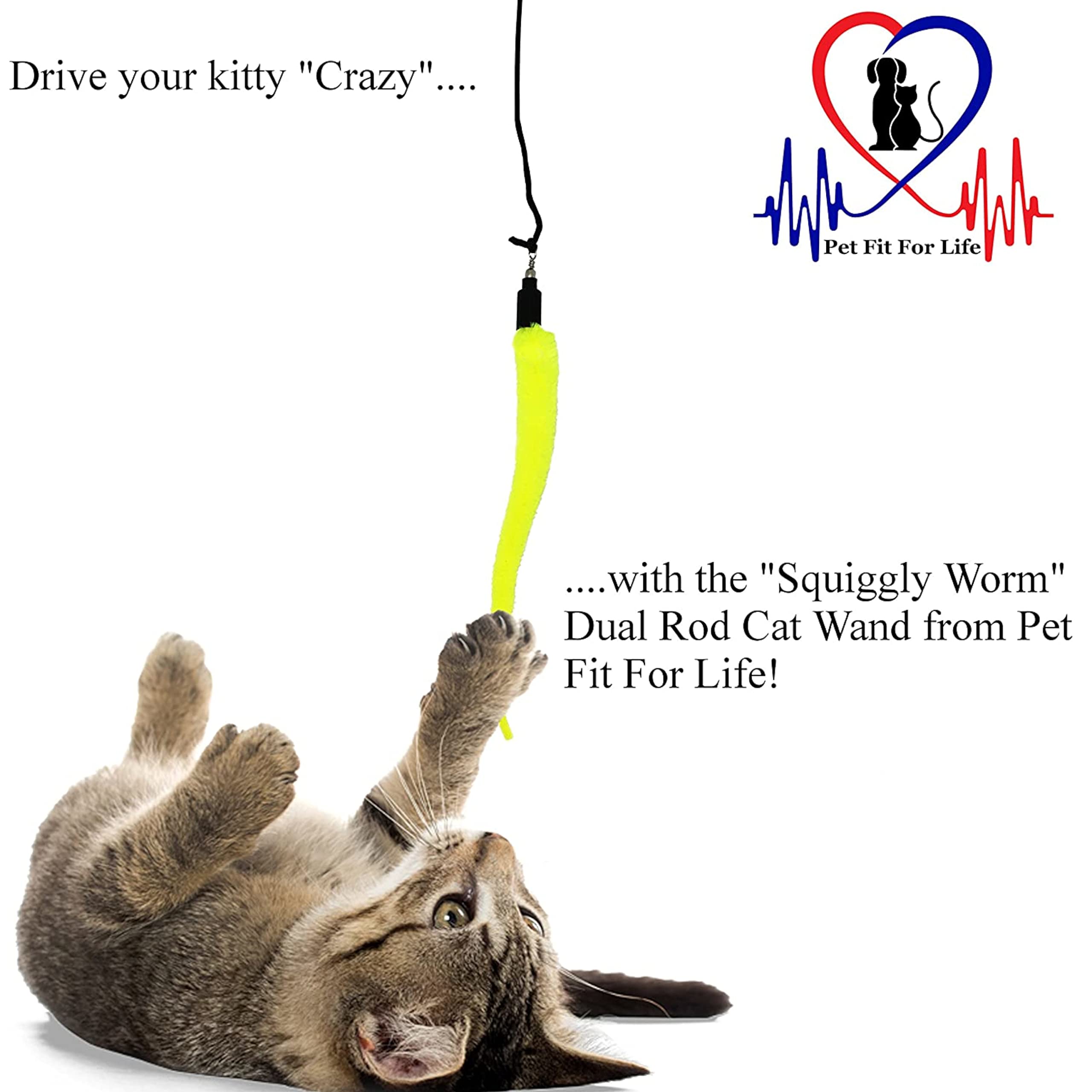 Pet Fit For Life échelle montre taille canne et maniabilité