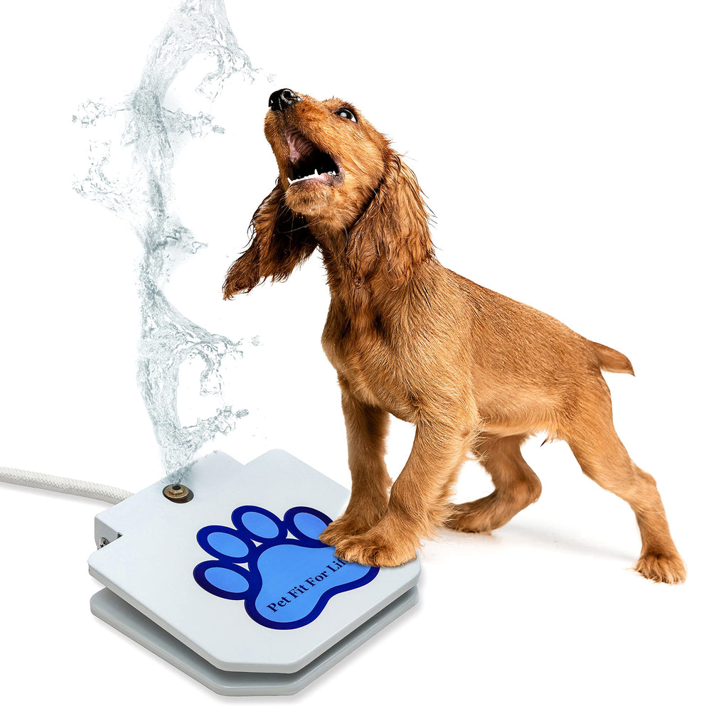 Pet Fit For Life raccord tuyau et splitter illustrant double débit et usage simultané