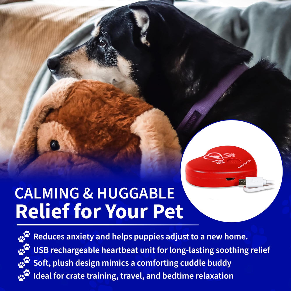 Pet Fit For Life module battement illustré offrant effet calmant simulé