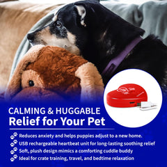 Pet Fit For Life module battement illustré offrant effet calmant simulé