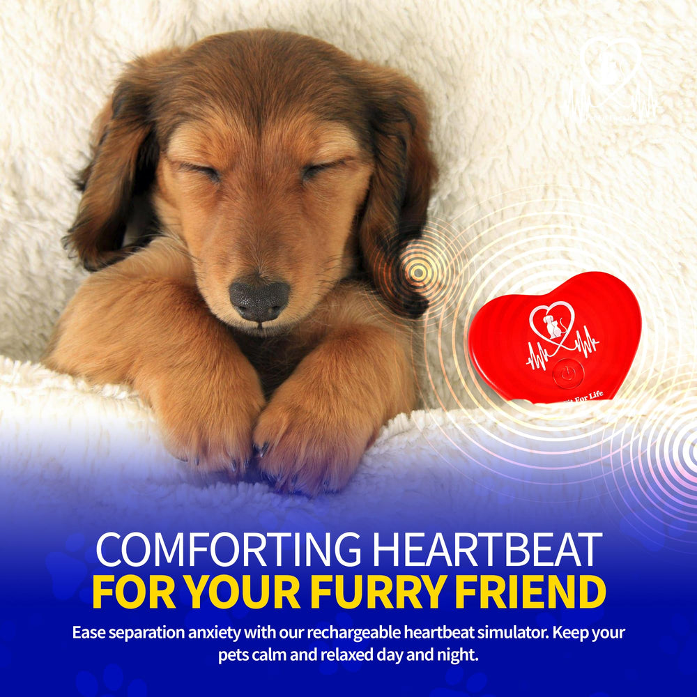 Pet Fit For Life placé dans un panier de chiot pour calmer durant la sieste