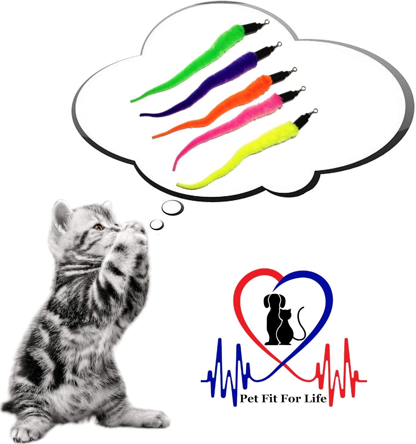 Pet Fit For Life coffret étalé montre contenu et remplacement simple