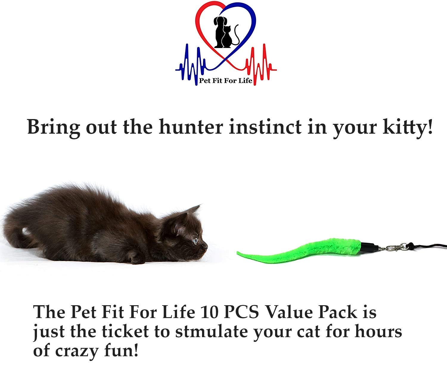 Pet Fit For Life recharges fixées sur baguette en situation de jeu supervisé