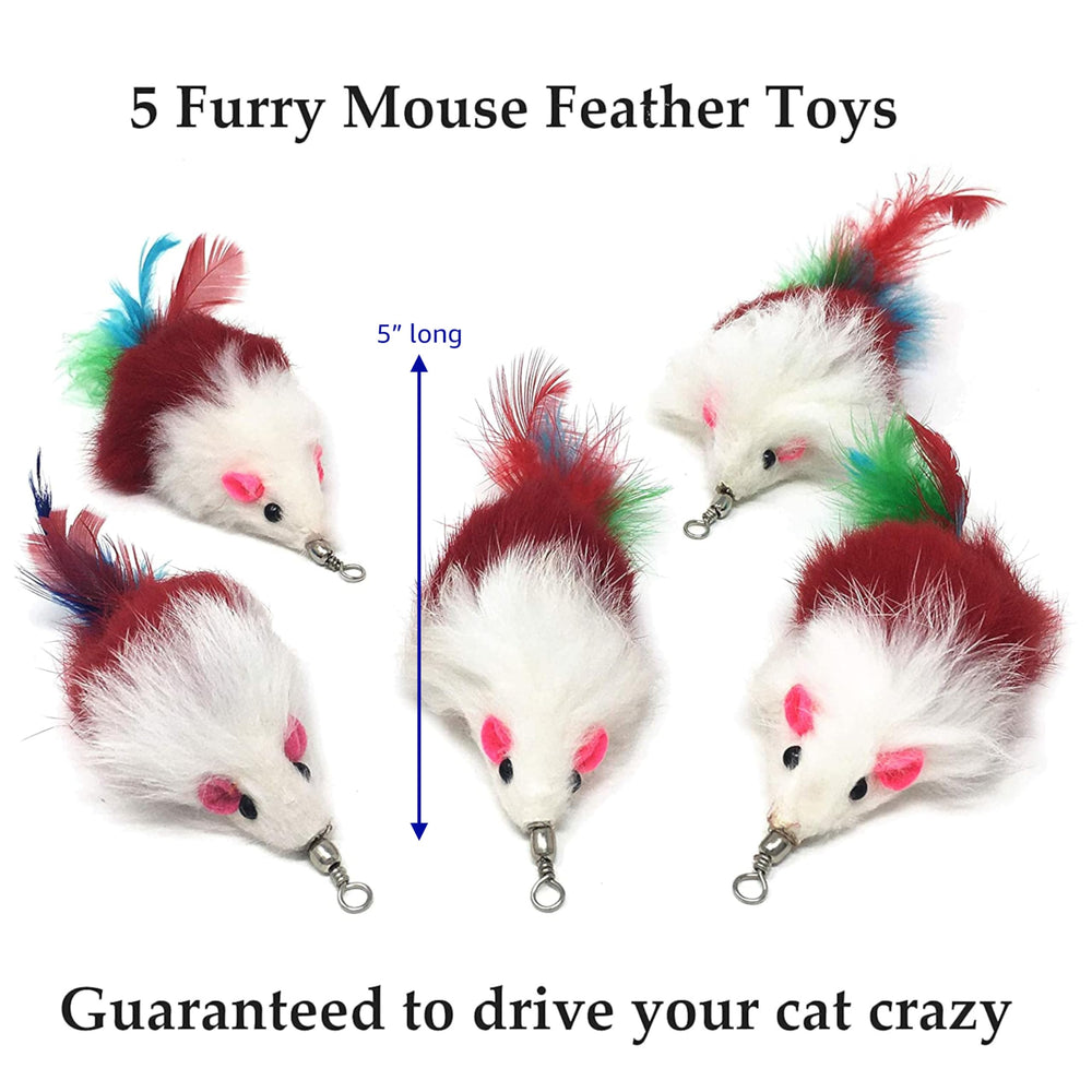 Pet Fit For Life gros plan vers souple montrant texture attrayante pour chaton