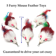 Pet Fit For Life gros plan vers souple montrant texture attrayante pour chaton