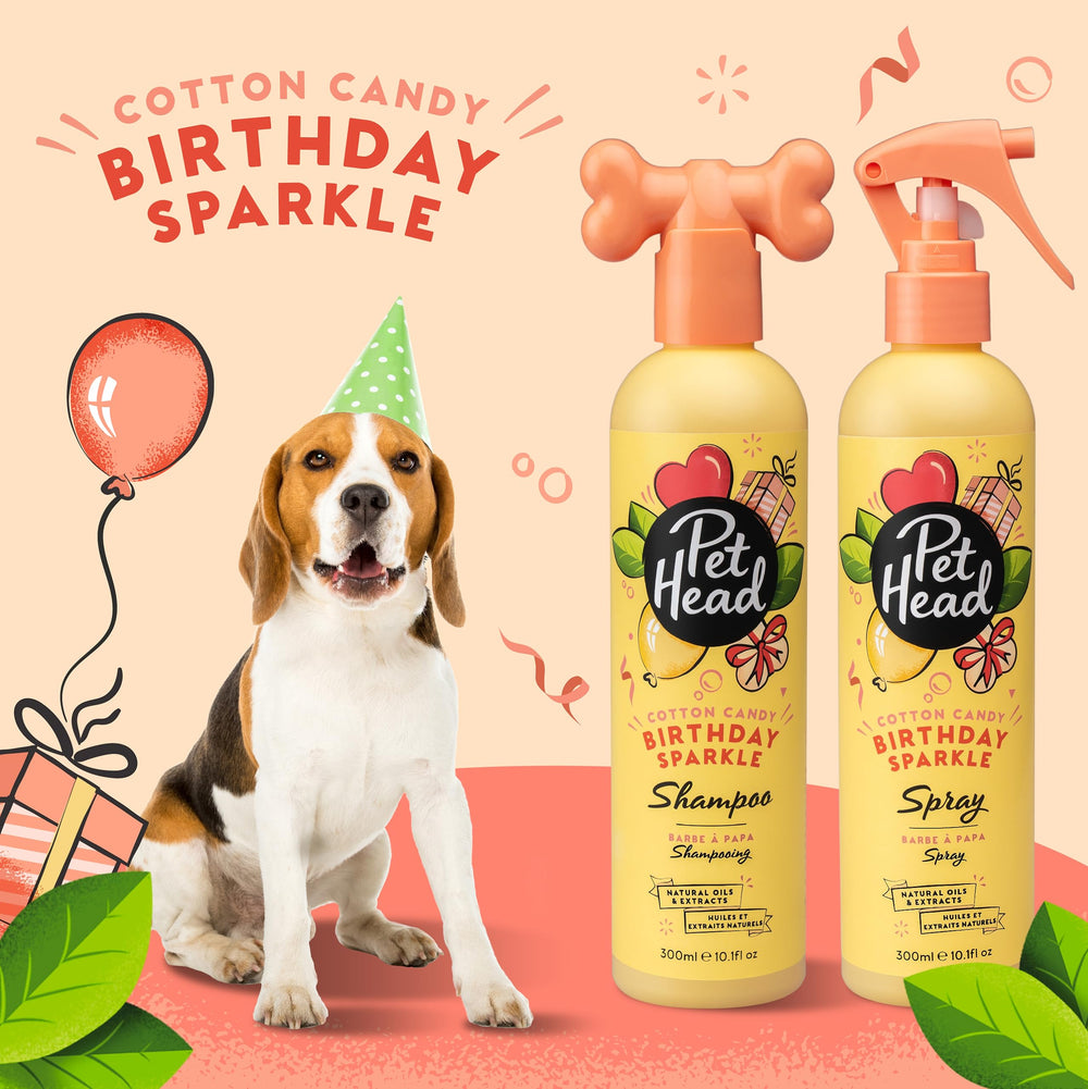 Pet Head chien célébrant un anniversaire avec pelage propre et parfumé