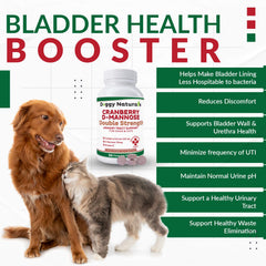 Pet Health Pharma comprimé dans la main pour dosage simple