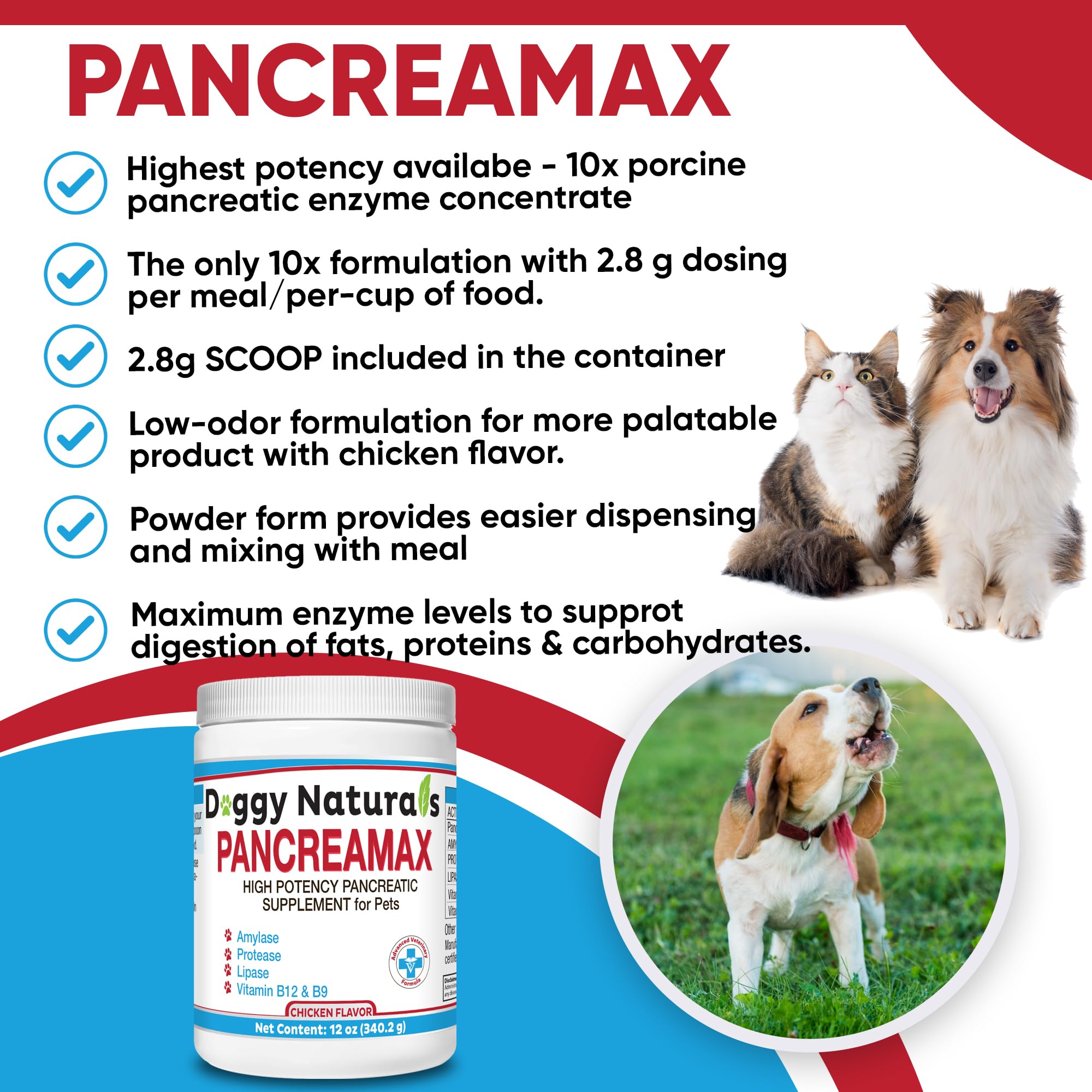 Pet Health Pharma PancreaMax poudre mélangée à nourriture humide pour meilleure digestion