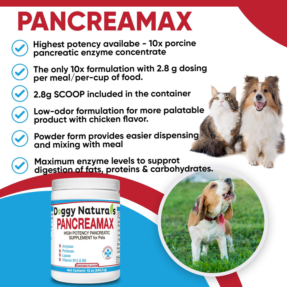 Pet Health Pharma PancreaMax poudre mélangée à nourriture humide pour meilleure digestion