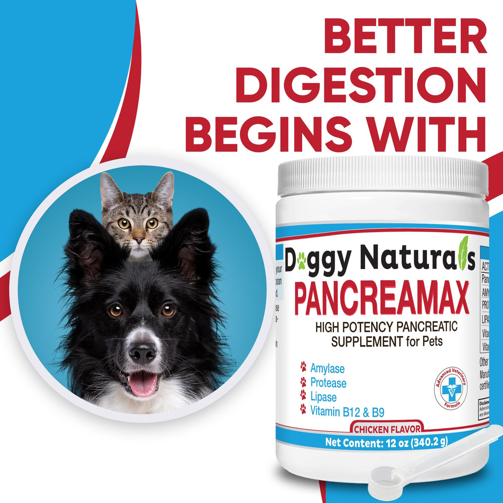 Pet Health Pharma PancreaMax présenté près d’un chien mangeant pour appétence améliorée