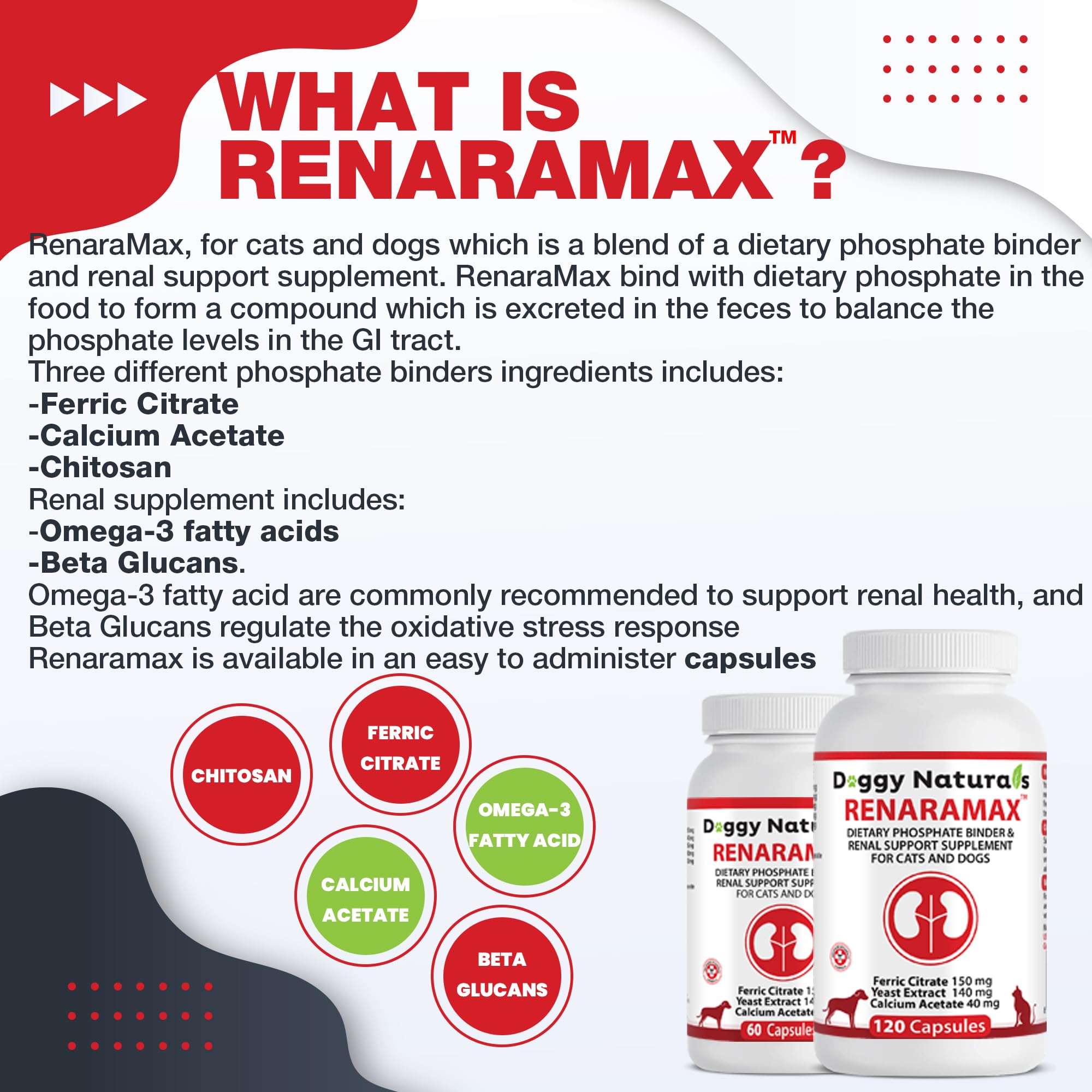 Pet Health Pharma RENARAMAX démonstration administration à un chat calme